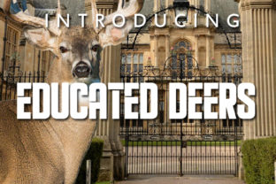 Educated Deers: A Bold Display Font for Creative Branding