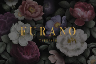 Furano Font for a Polished Brand Look