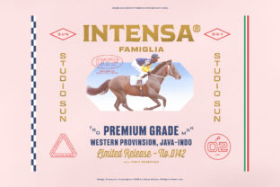 Intensa Family: A Vintage Font for Modern Business Branding